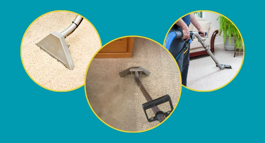 Where To Rent a Carpet Cleaner: Your Complete Guide
